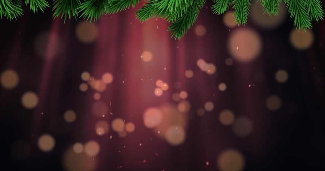 Festive Christmas Background with Fir Branches and Bokeh Lights