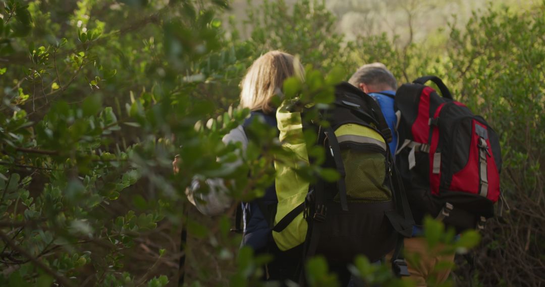 Senior Couple Hiking in Lush Forest with Backpacks