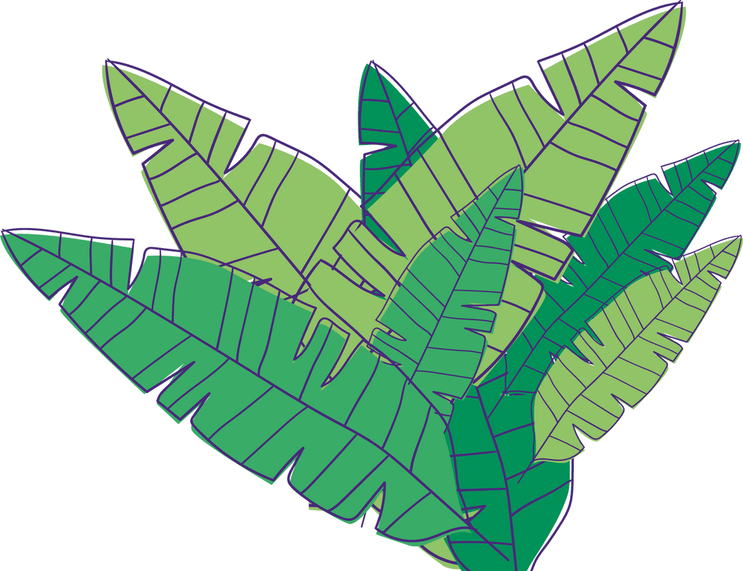 Stylized Overlapping Tropical Leaves on Transparent Background