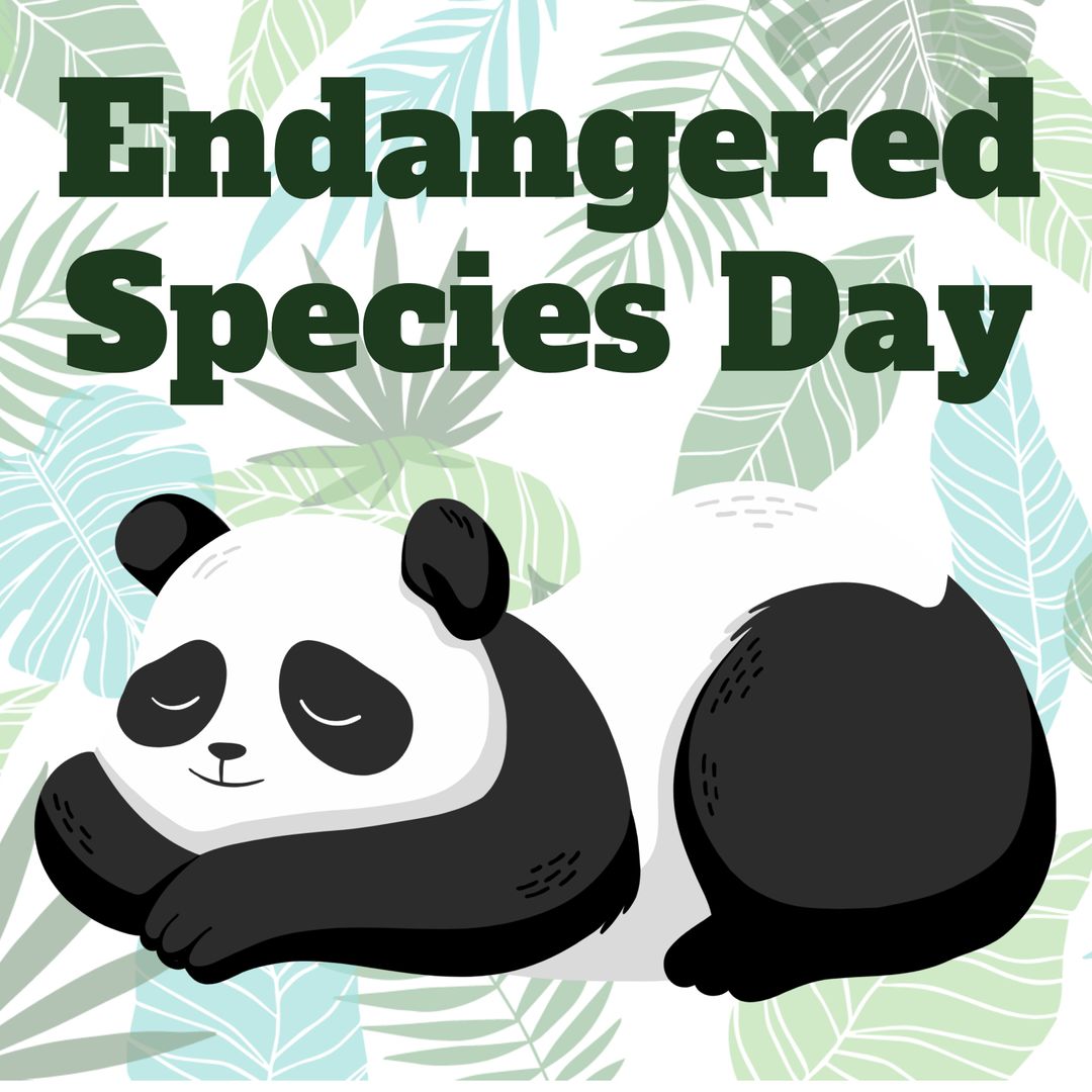 Panda Illustration for Endangered Species Day Awareness