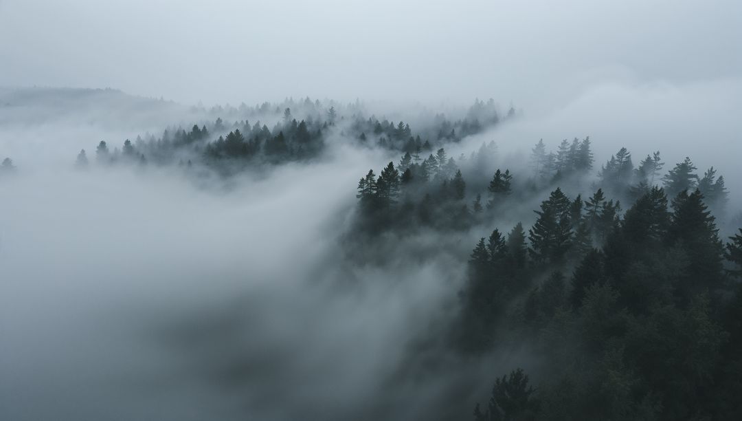 Gliding fog revealing conifer ridgelines and distant silhouettes over moody mountain valley
