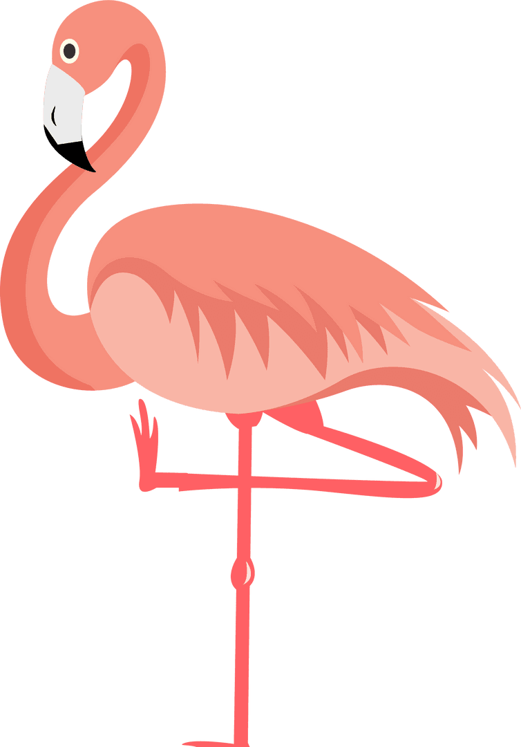 Transparent Minimalistic Flamingo With Curved Neck