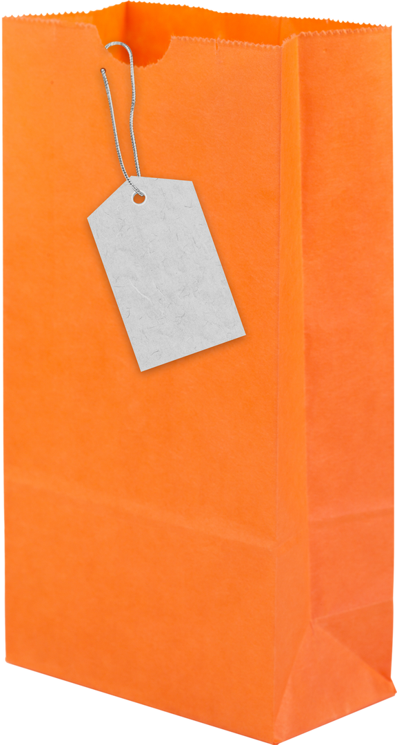 Transparent Orange Shopping Bag Mockup with Hangtag - Download Free Stock Images Pikwizard.com