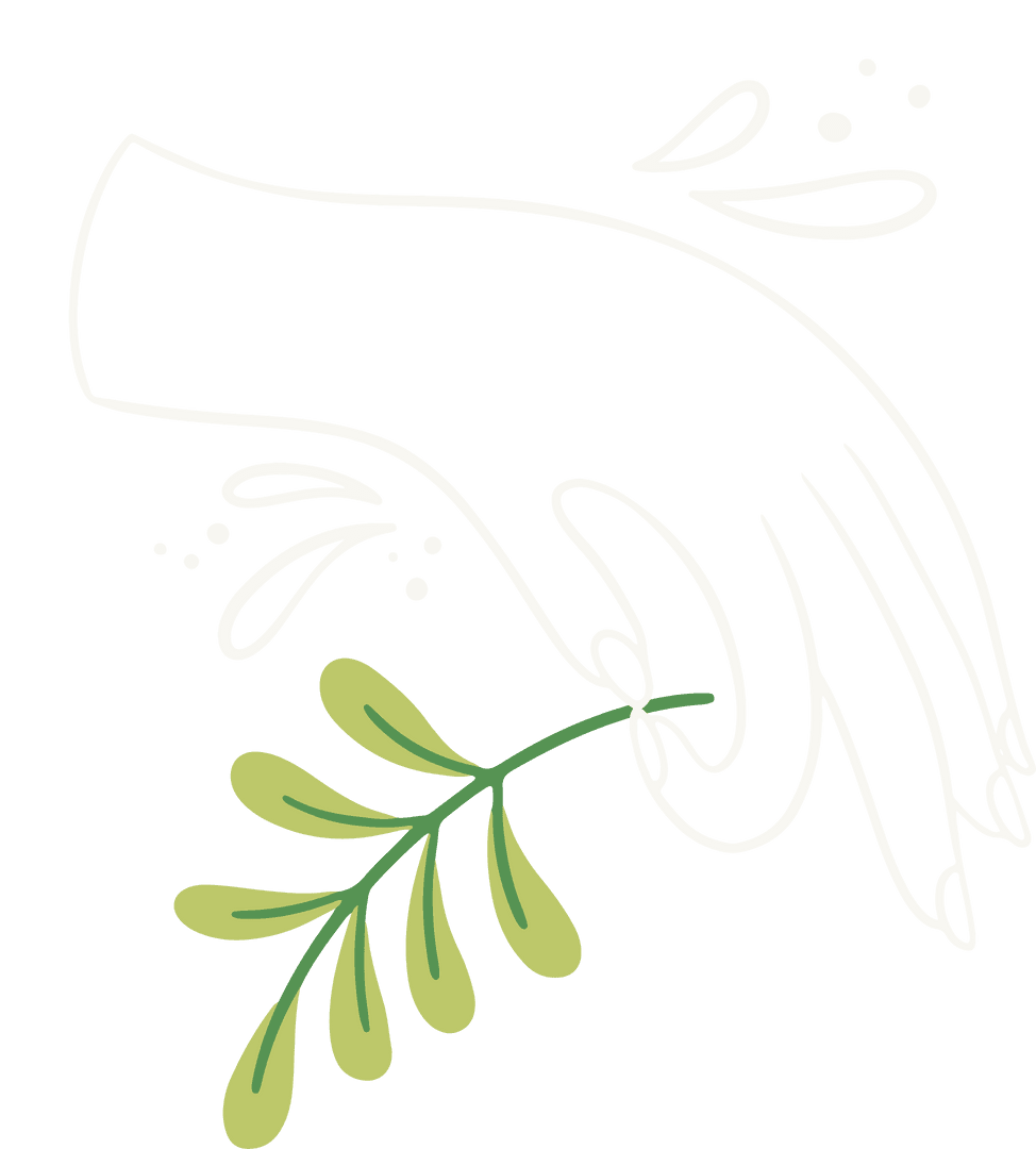 Transparent Minimalist Hand with Botanical Element and Water Droplets