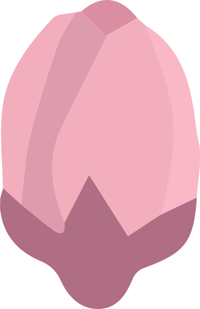 Elegant Pink Flower Bud Transparent Illustration