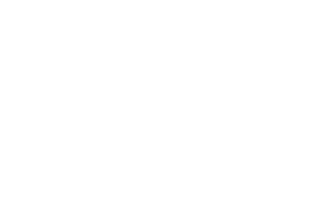 Silhouette of Weightlifting Sportsman on Transparent Background - Download Free Stock Images Pikwizard.com