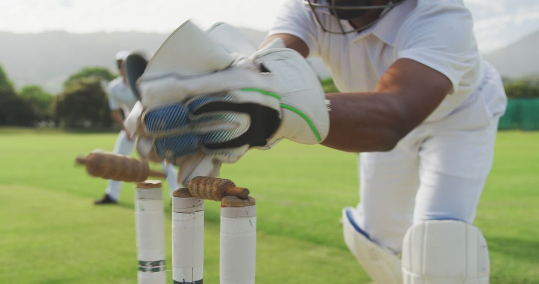 Professional Cricket Player Catches Ball Near the Stumps - Free Images, Stock Photos and Pictures on Pikwizard.com