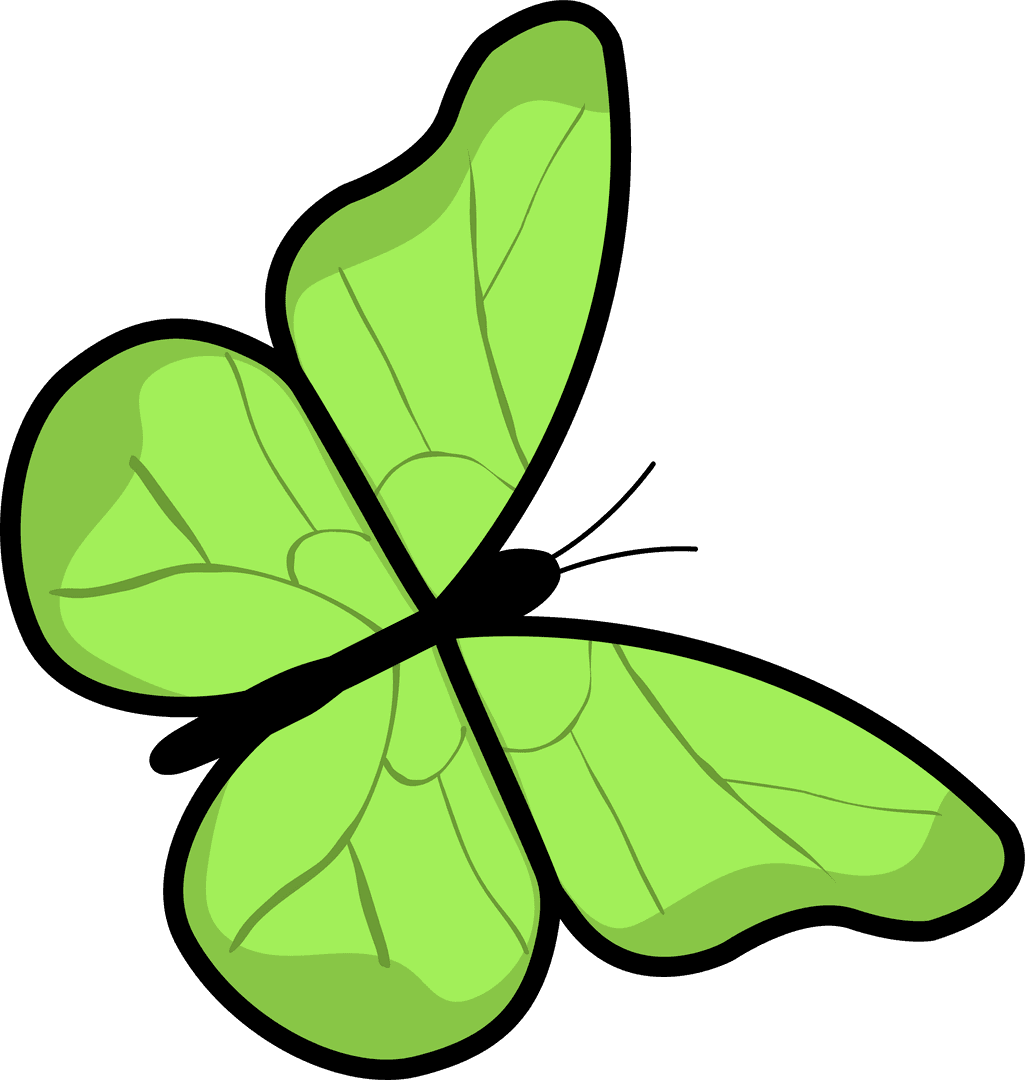 Transparent Green Butterfly with Leaf-Veined Wings on White