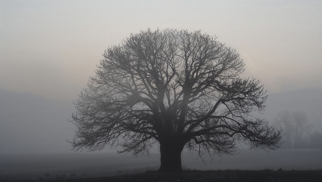 Solitary bare oak silhouette standing in misty dawn field evoking solitude and calm