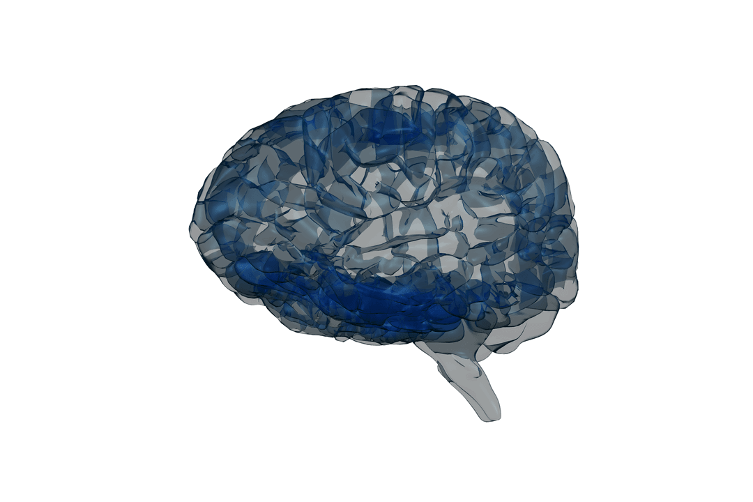 Digital Illustration of Blue Transparent Human Brain Vector