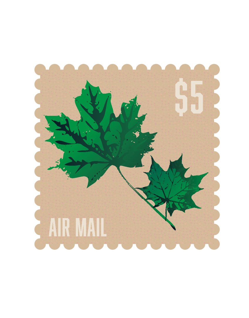 Vintage Air Mail Stamp PNG Illustration Transparent Background - Download Free Stock Images Pikwizard.com