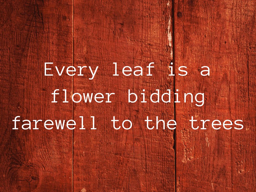 Inspirational Leaf Quote on Rustic Wooden Background - Download Free Stock Templates Pikwizard.com