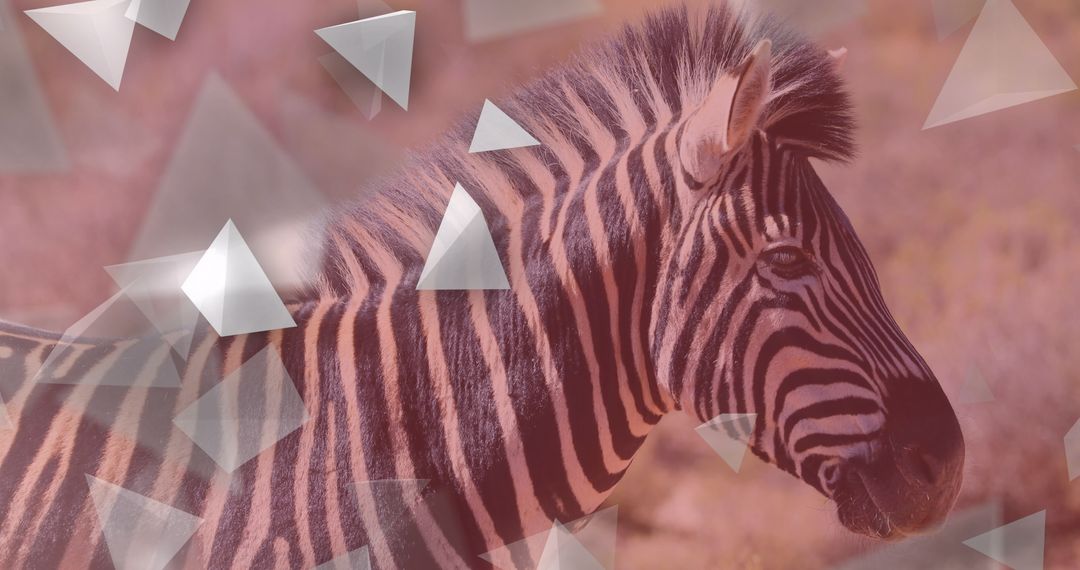 Zebra in Habitat Blended with Abstract Geometric Art