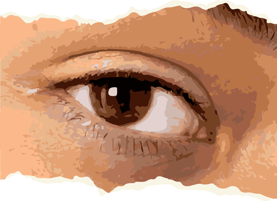 Stylized Artistic Eye on Transparent Background