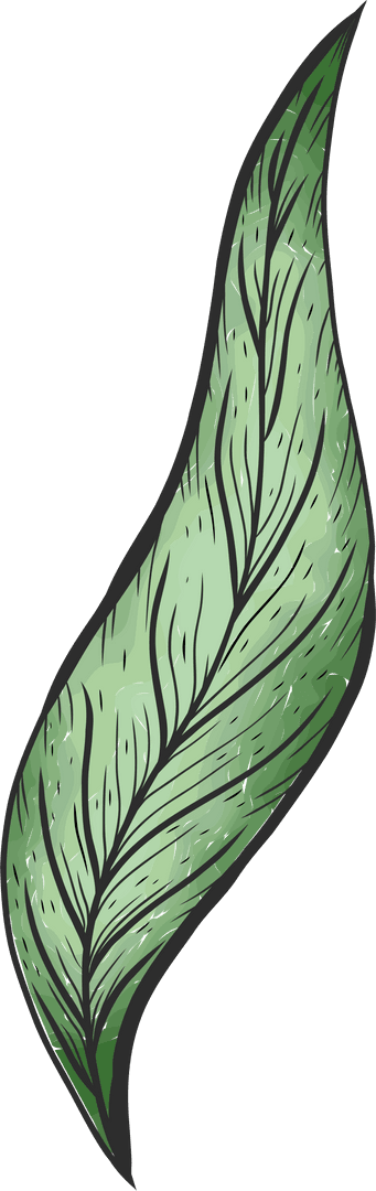 Transparent Green Leaf Illustration with Detailed Veins