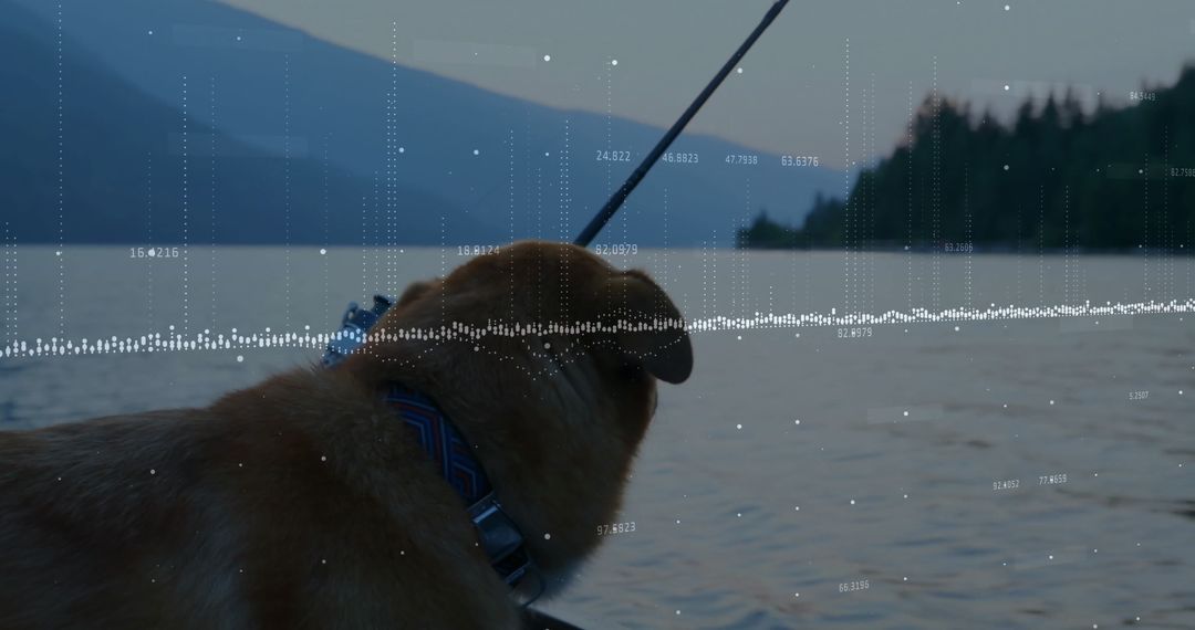 Dog on Mountain Lake Dock with Fishing Rod and Data Overlay