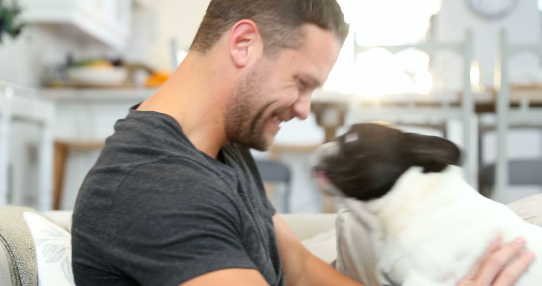 Happy Man Playing with French Bulldog in Bright Living Room - Free Images, Stock Photos and Pictures on Pikwizard.com