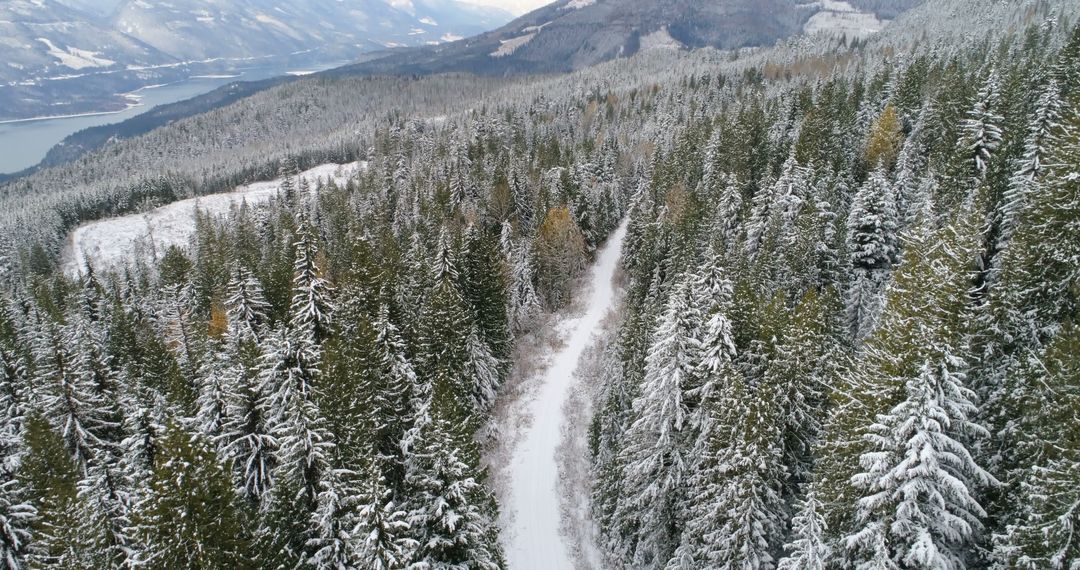 Aerial View of Snowy Forest with Winding Path in Winter - Free Images, Stock Photos and Pictures on Pikwizard.com