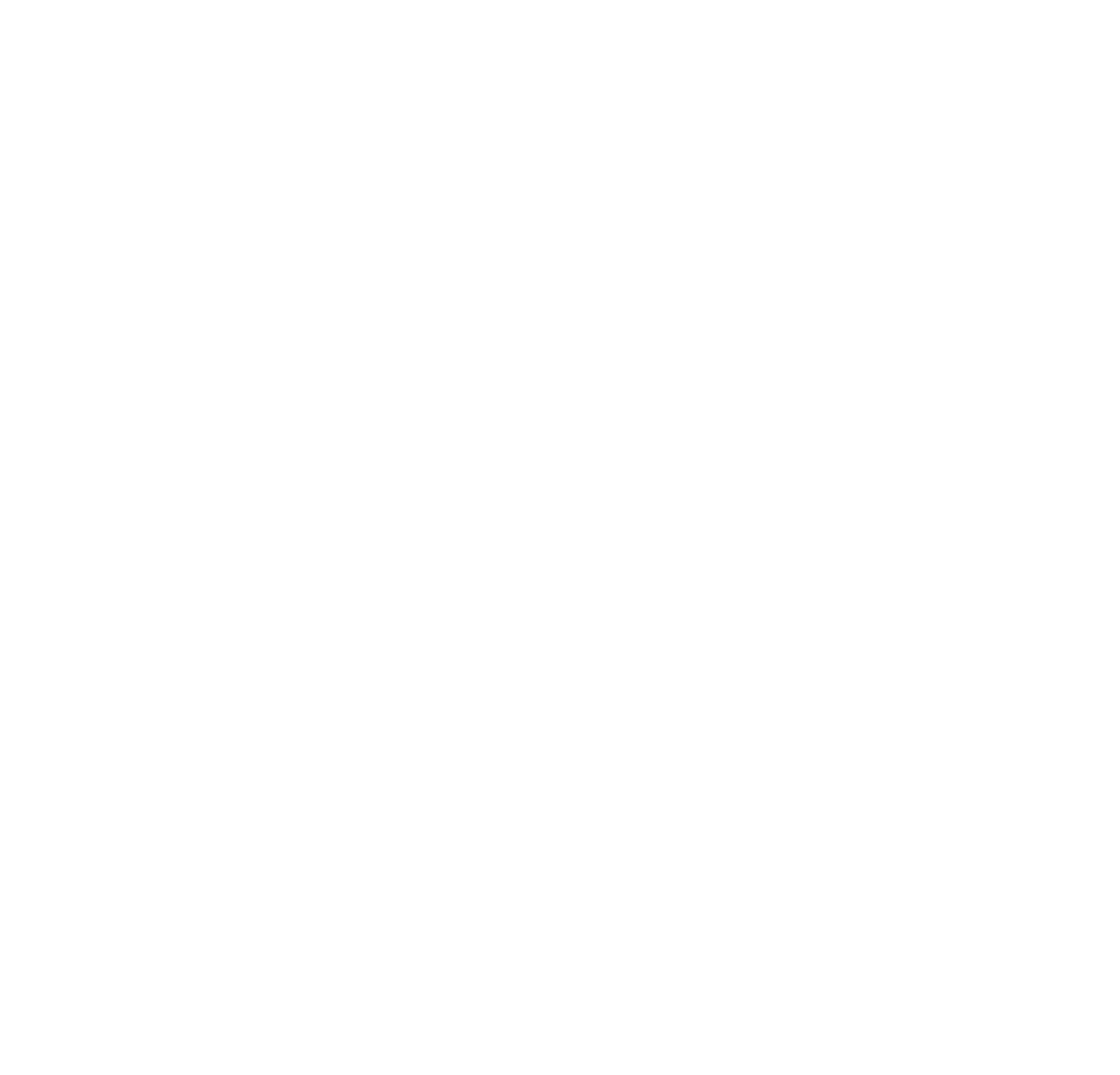 Transparent Lace Border with Floral Vines and Blocks