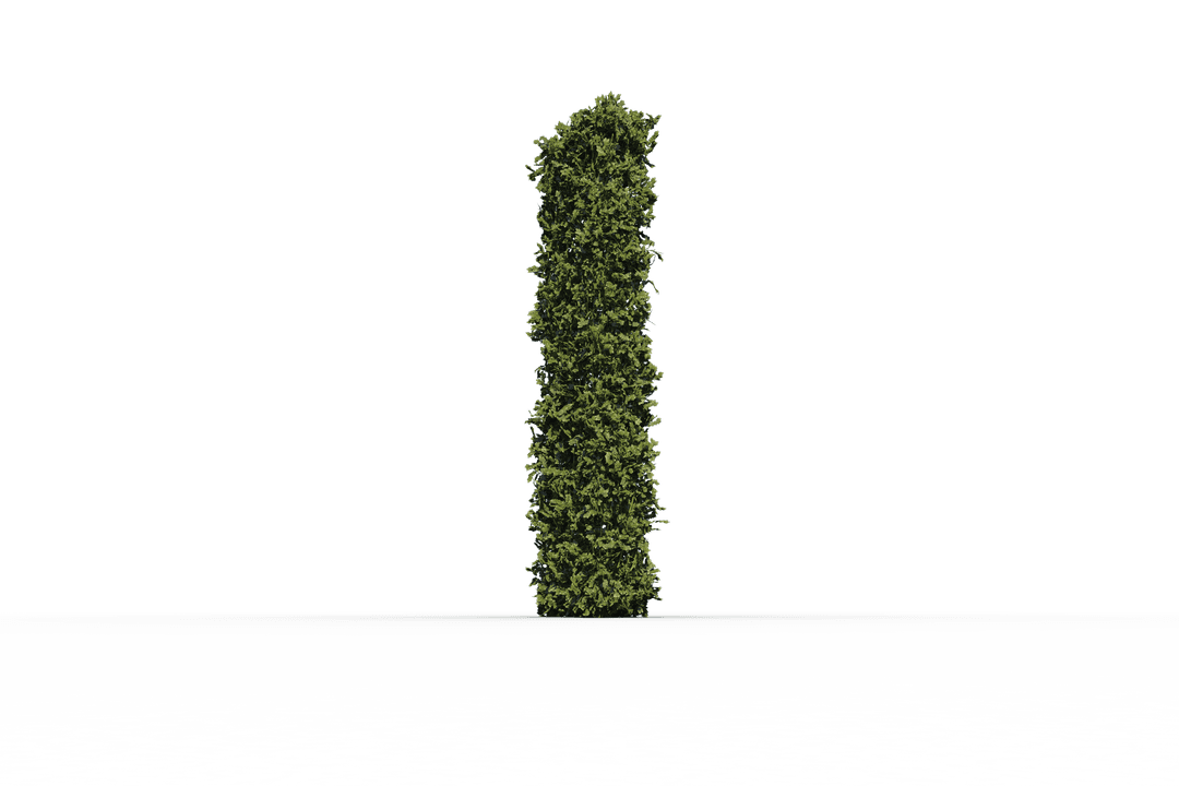 Transparent I Letter Shaped Hedge Isolated Icon on Background