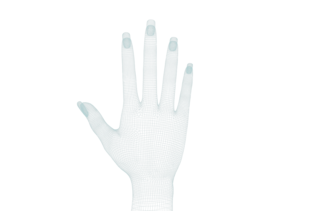 3D Modeling of Transparent Female Hand Vector Illustration