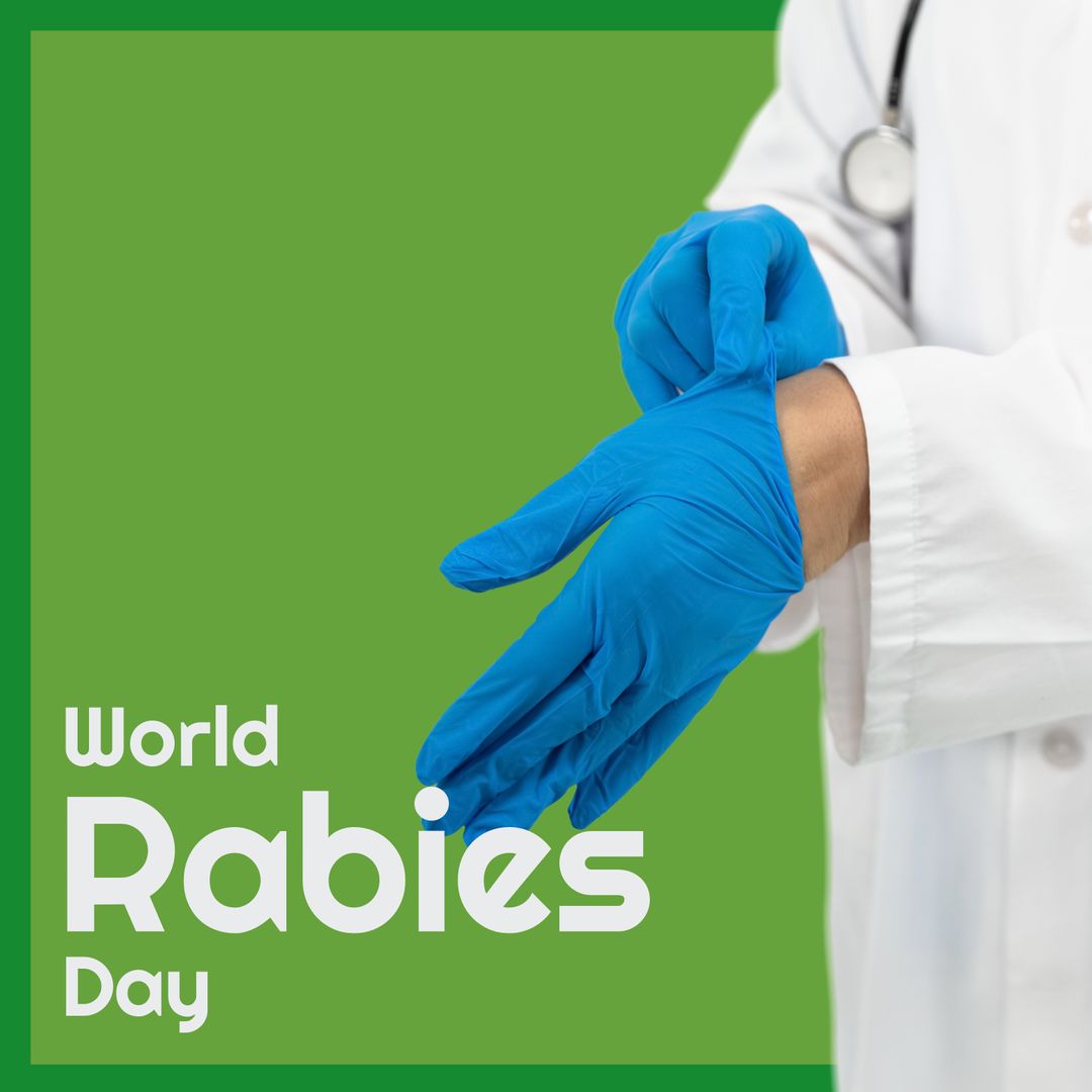 Veterinarian Preparing for World Rabies Day with Protective Gloves