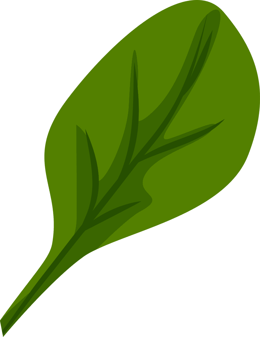 Minimalist Green Leaf Illustration with Transparent Background
