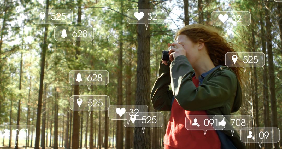 Exploring Pine Forest Through Photography with Digital Interaction