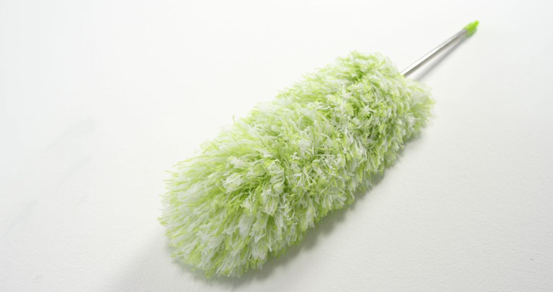 Green Feather Duster Isolated on White Background - Free Images, Stock Photos and Pictures on Pikwizard.com