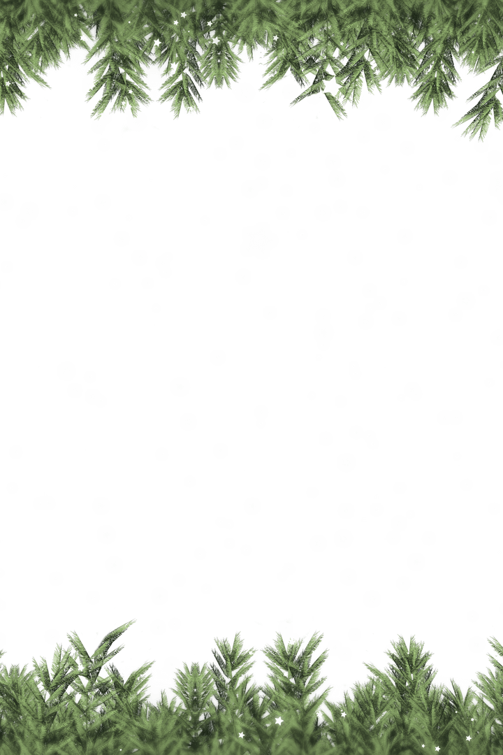 Festive Christmas Tree Borders with Snowflakes on Transparent Background