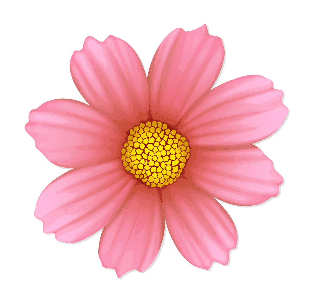 Floating Pink Flower on Transparent Background for Designs
