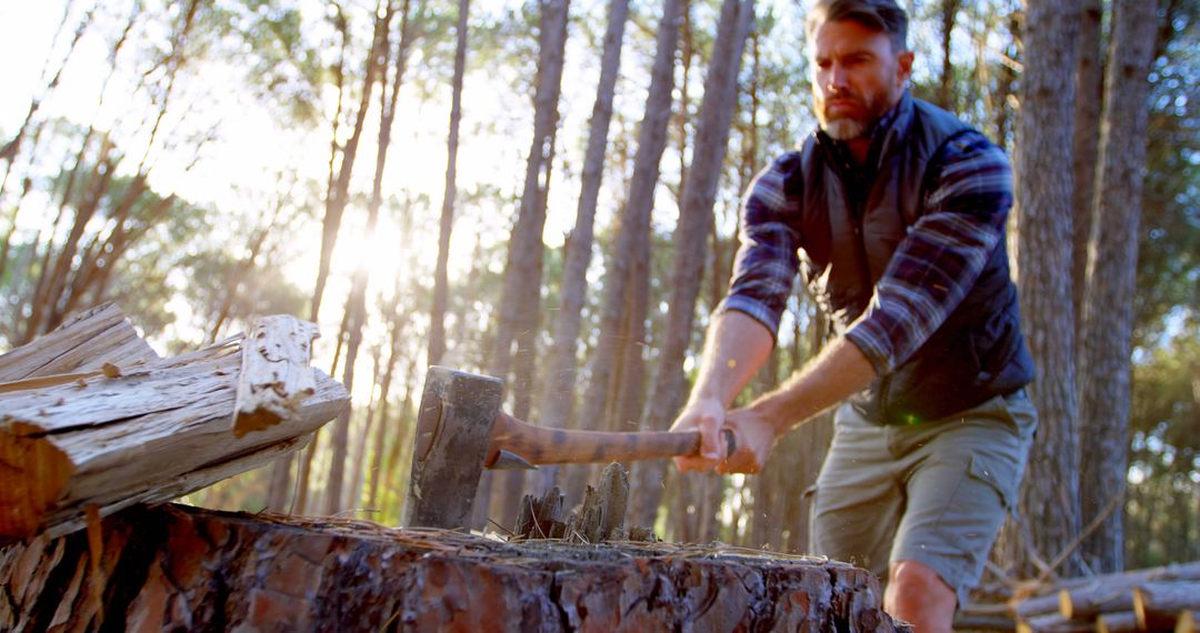 Man Chopping Wood in Forest at Sunrise - Free Images, Stock Photos and Pictures on Pikwizard.com