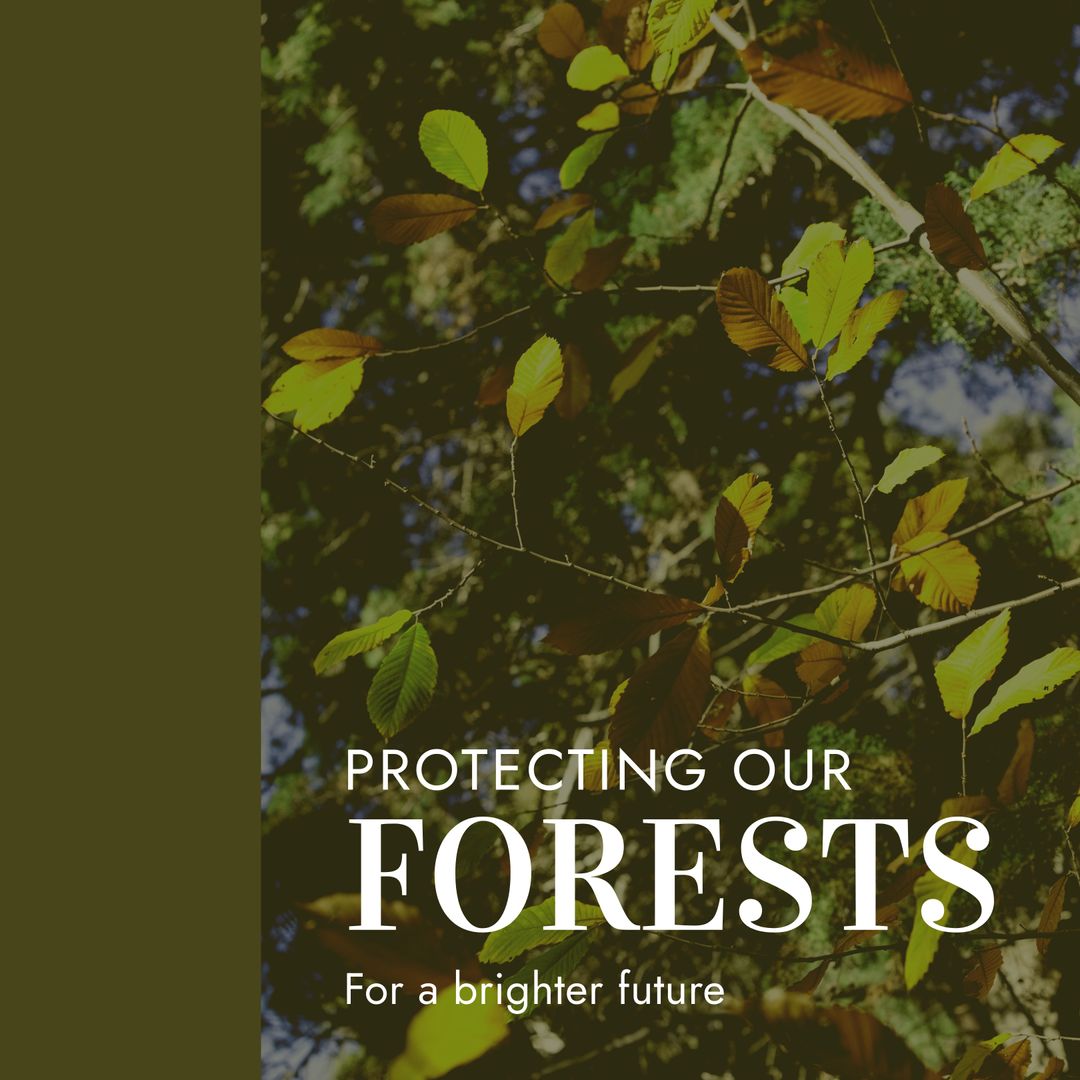 Protecting Forests Message with Green Leaves Background - Download Free Stock Templates Pikwizard.com