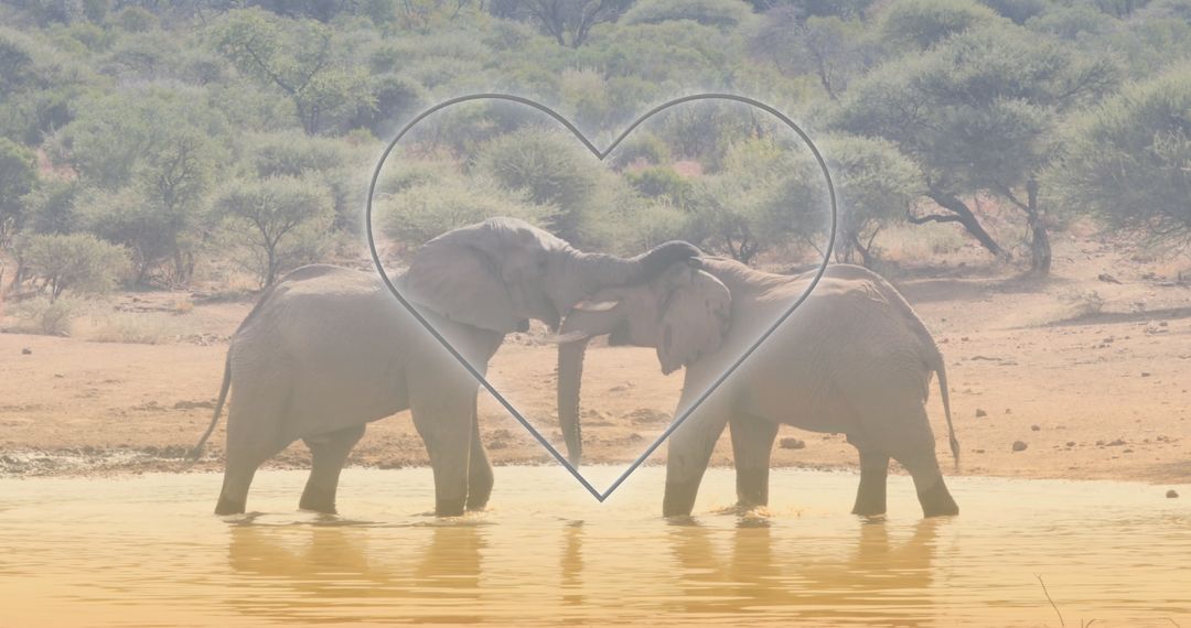 Elephants Playfully Interacting on Sunlit Savanna