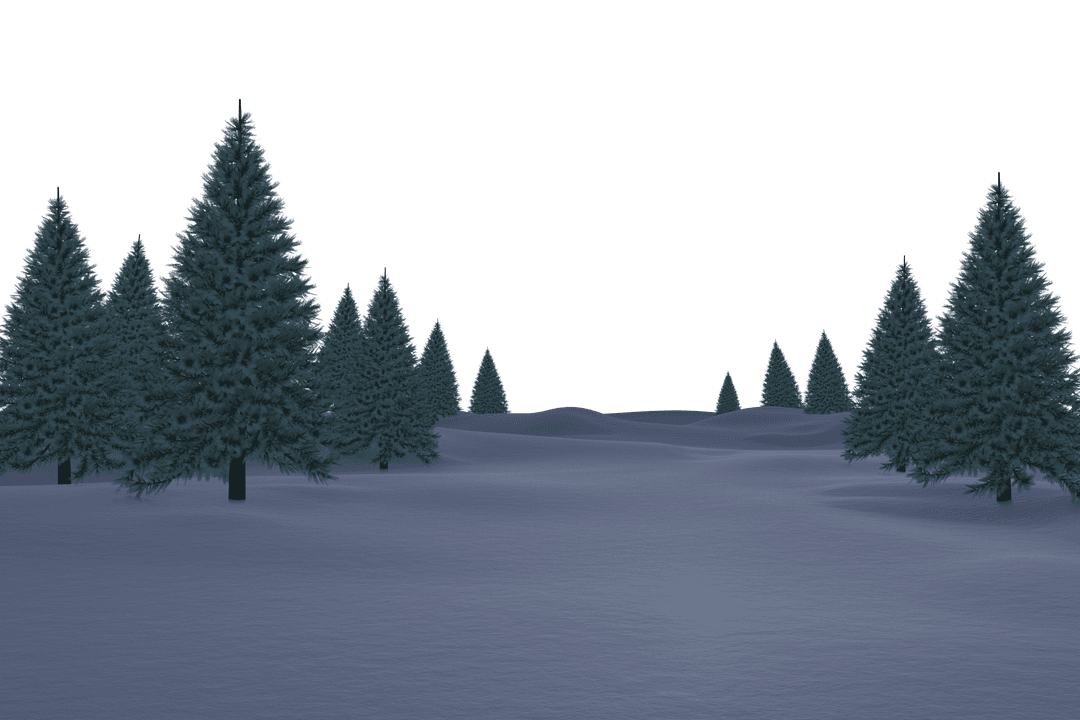 Transparent Winter Wonderland with Snowy Fir Trees