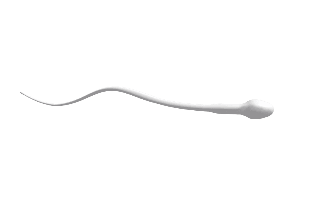 3D Transparent Sperm Cell Isolated on White Background
