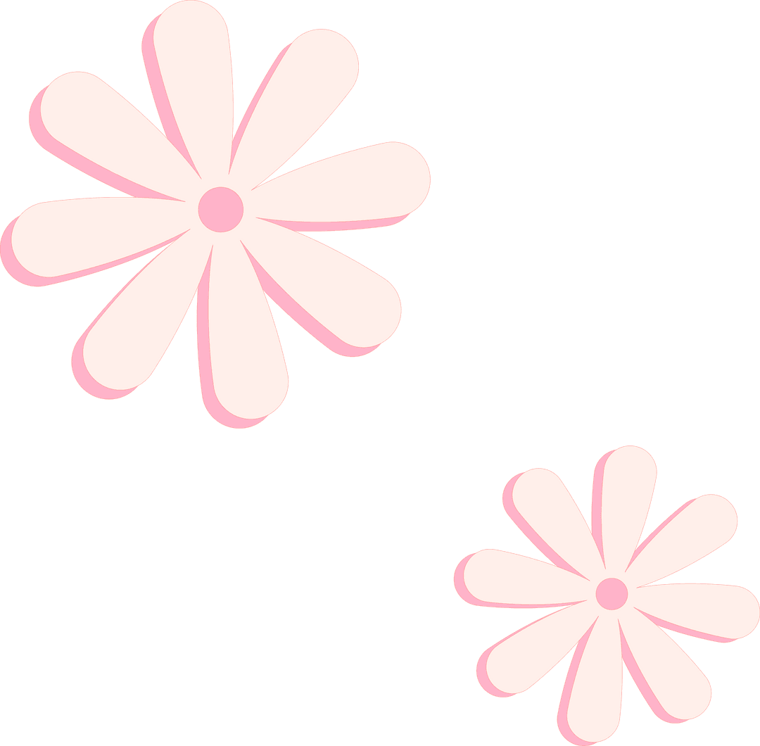 Stylized Transparent Pink Daisies with Elegant Shadowing