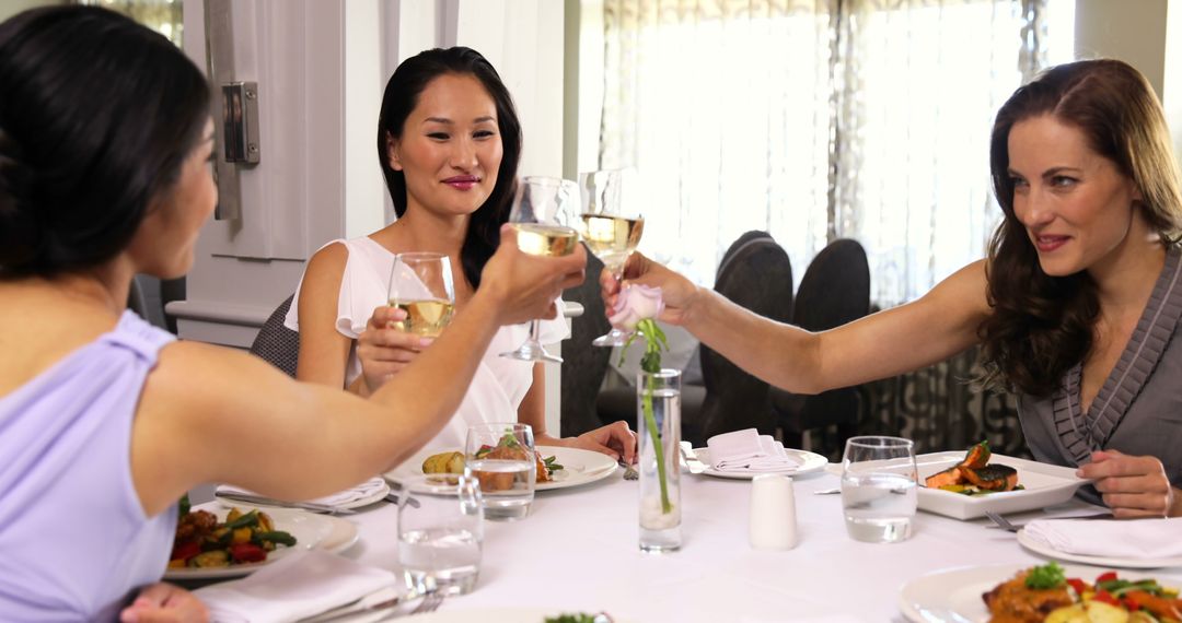 Elegant Women Toasting Over Lunch in Fine Dining Restaurant - Free Images, Stock Photos and Pictures on Pikwizard.com