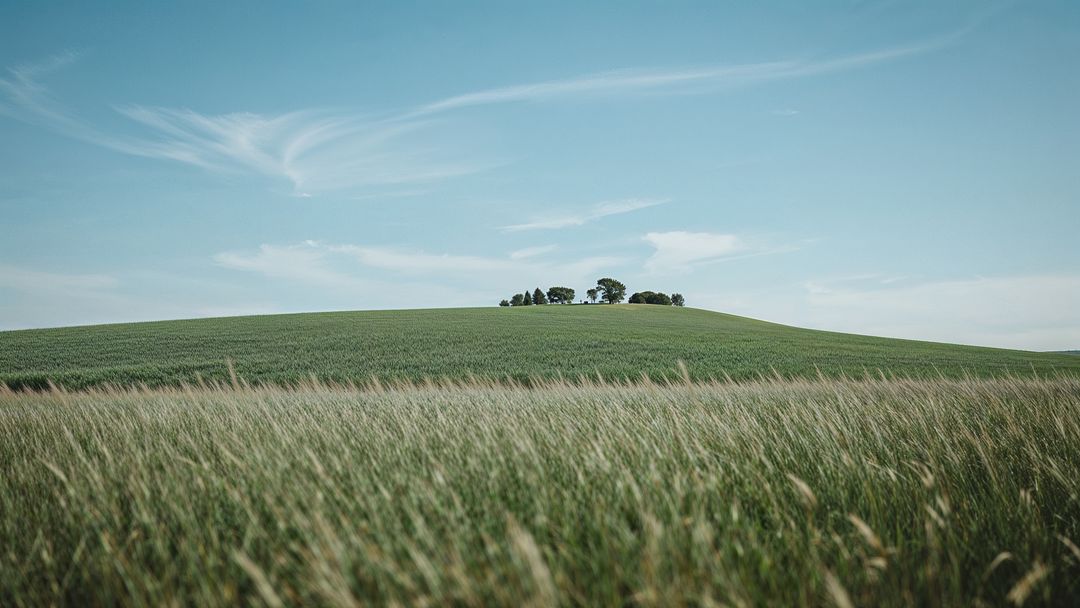 Nebraska scenic hilltop with trees amidst grass fields under clear blue sky