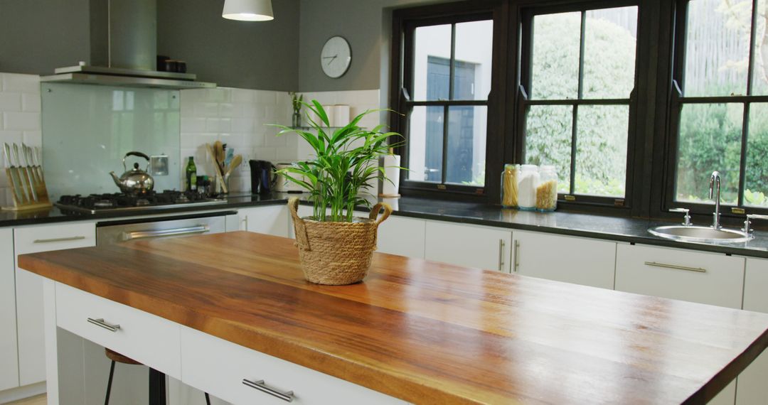 Modern Kitchen Interior with Wooden Countertop and Potted Plant - Free Images, Stock Photos and Pictures on Pikwizard.com