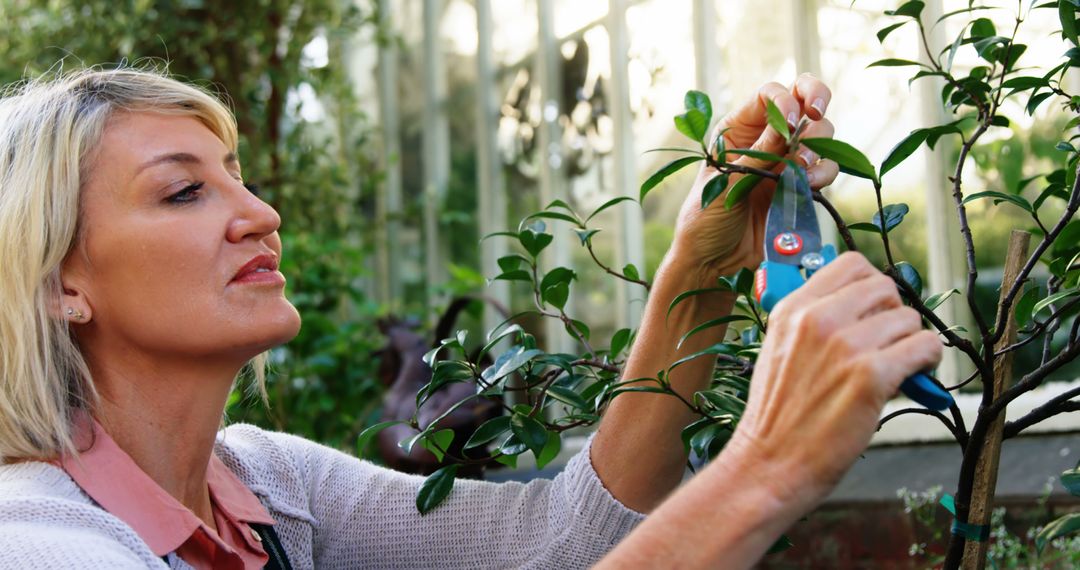 Woman Trimming Plants in Garden with Pruning Shears - Free Images, Stock Photos and Pictures on Pikwizard.com