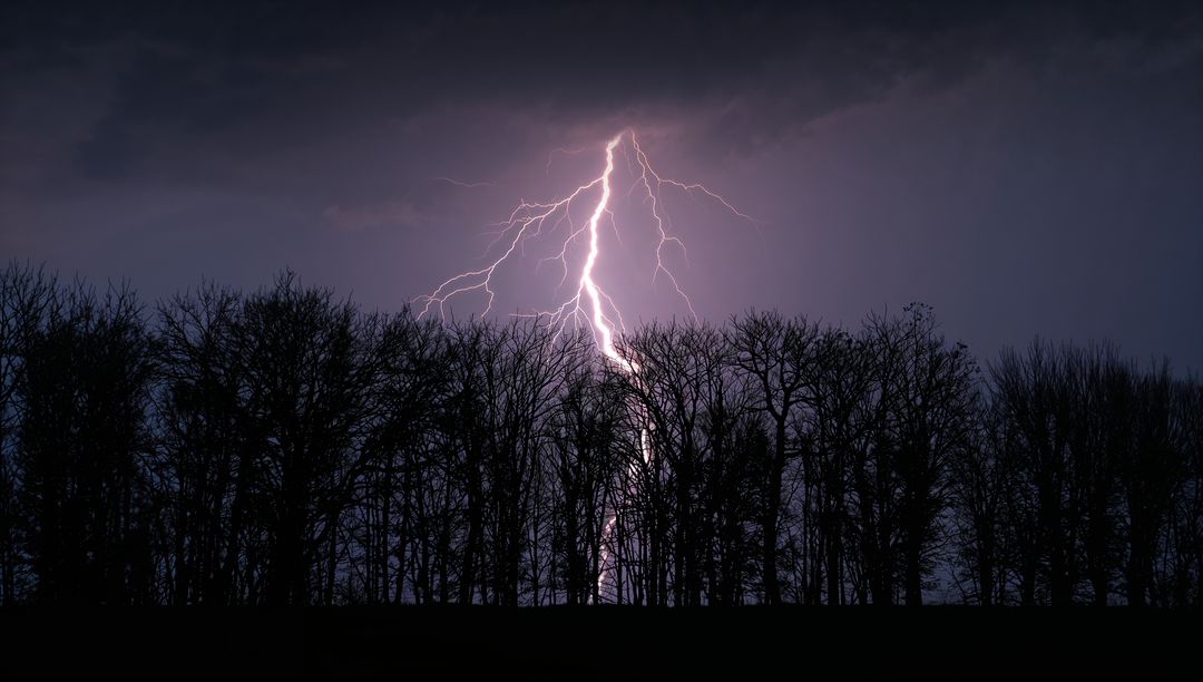 Dramatic Lightning Bolt Illuminating Nighttime Treeline
