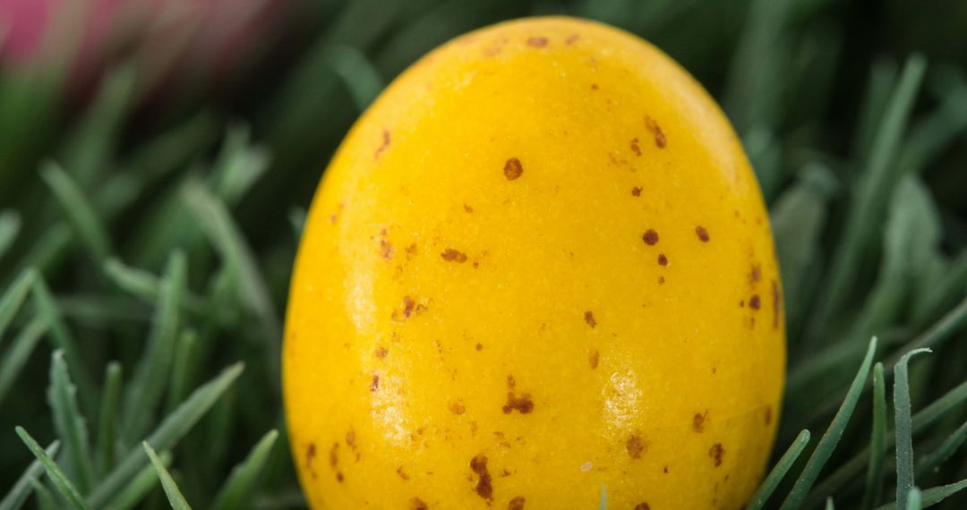 Bright Orange Easter Egg Resting on Lush Green Grass