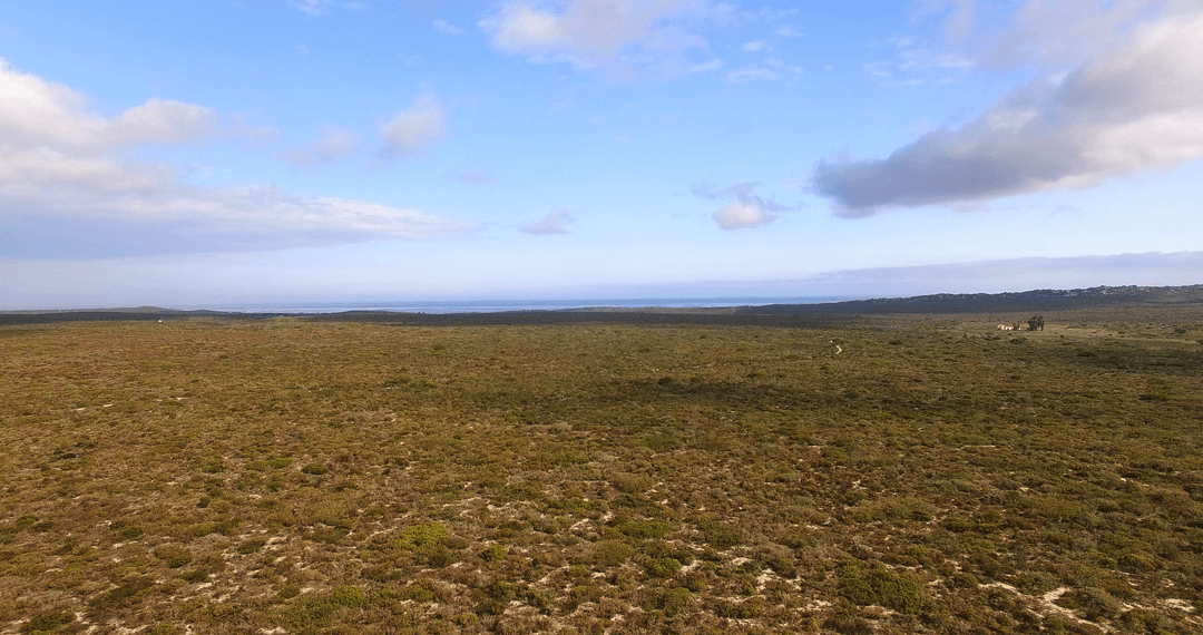 Vast Transparent Landscape Horizon with Blue Sky and Clouds
