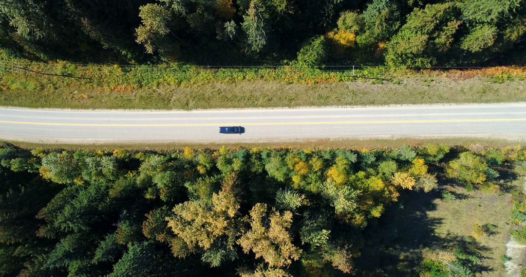 Car Driving on Forest Road Aerial View - Free Images, Stock Photos and Pictures on Pikwizard.com