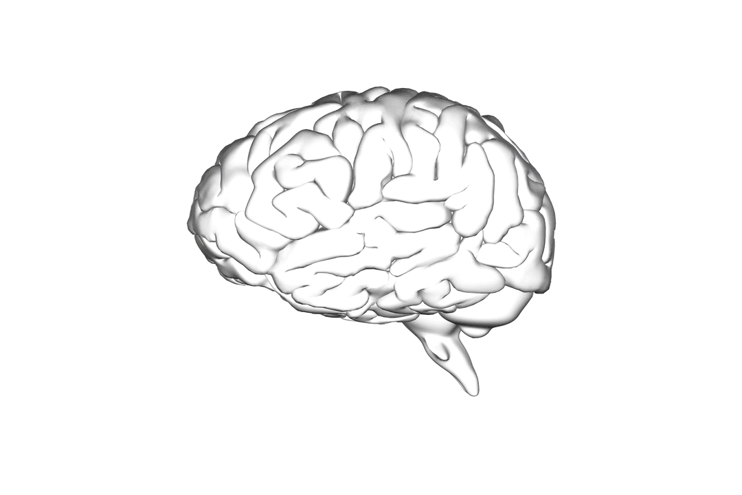Black Brain Illustration on Transparent Background for Mental Health Awareness