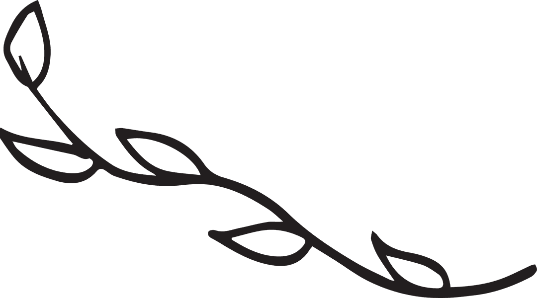 Outlined Branch with Leaves on Transparent Background