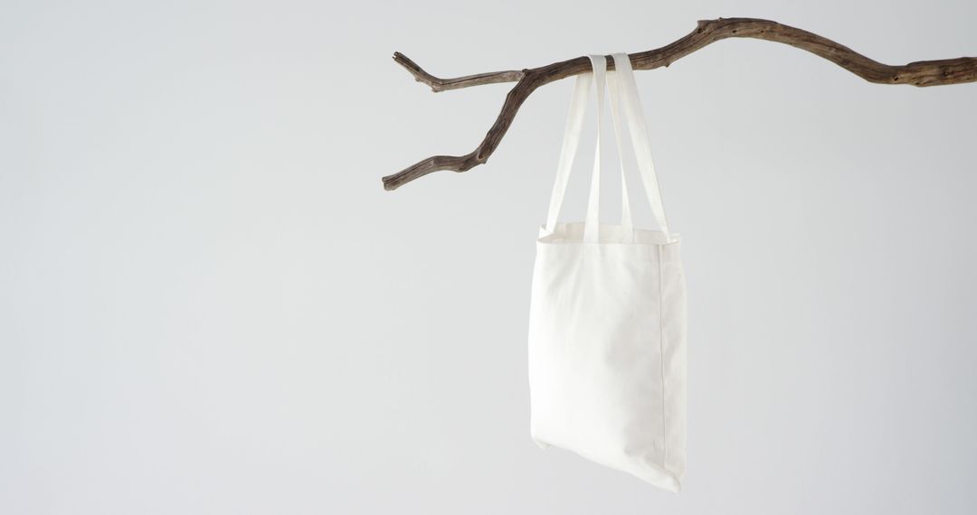 Minimalist Canvas Tote Bag Hanging on Tree Branch - Free Images, Stock Photos and Pictures on Pikwizard.com