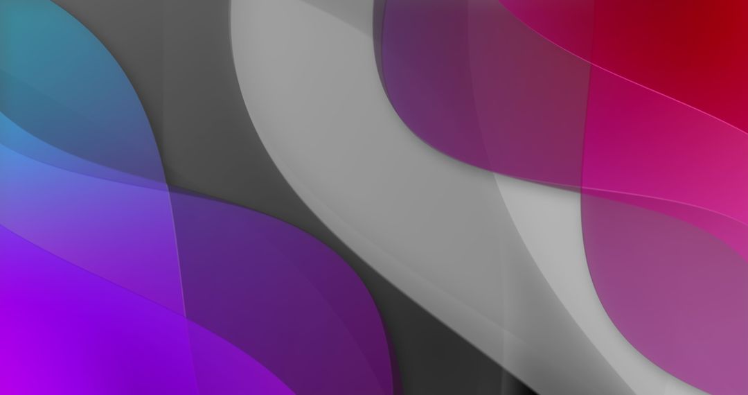 Colorful Flowing Shapes on Black Background