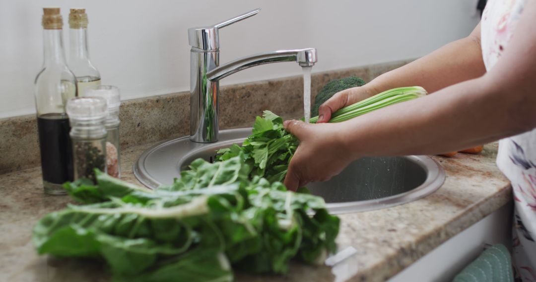 Person Washing Fresh Leafy Greens in Kitchen Sink - Free Images, Stock Photos and Pictures on Pikwizard.com